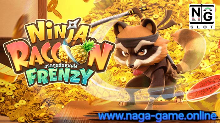 Ninja Raccoon Frenzy