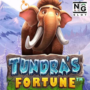 Tundra’s Fortune